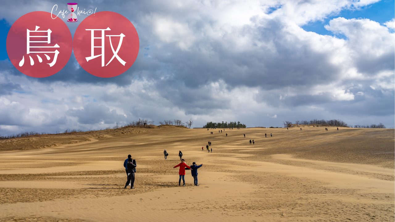 鳥取県の風景：鳥取砂丘
